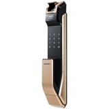 Врезной биометрический Samsung SHS-P718 XBG Gold